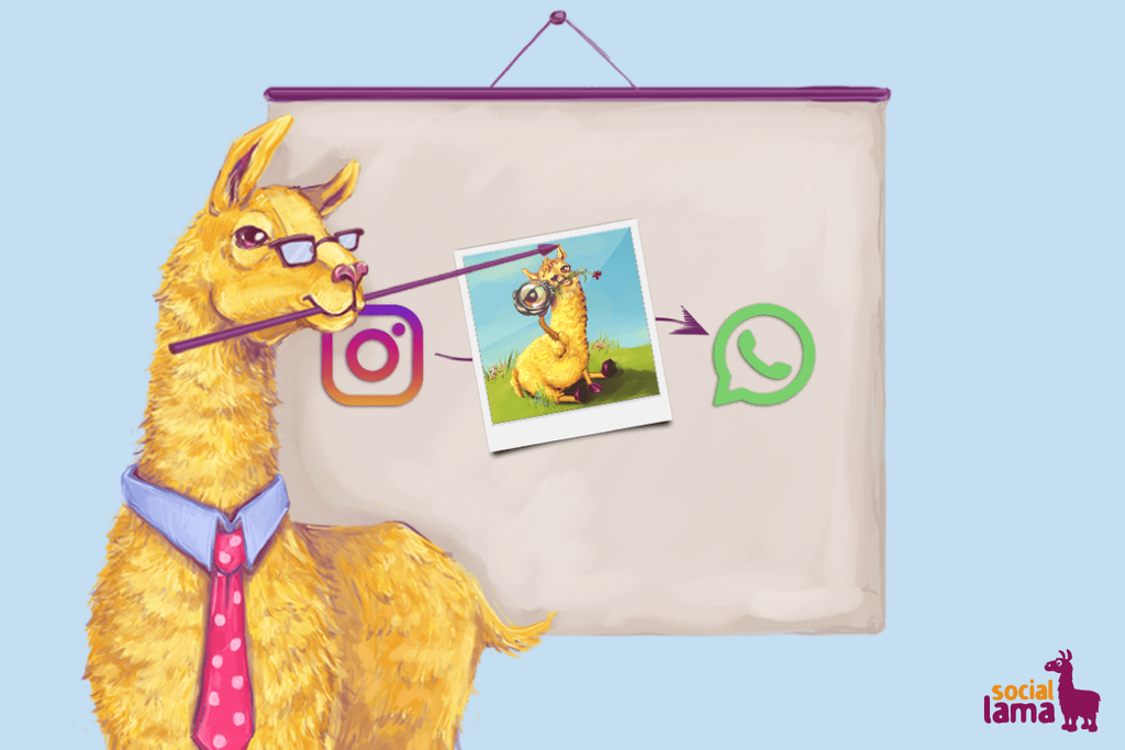Instagram Stories także w WhatsApp!